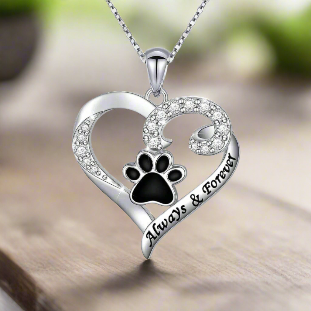 Collier Patte de Chien – Cœur en Acier Inoxydable avec Zirconium